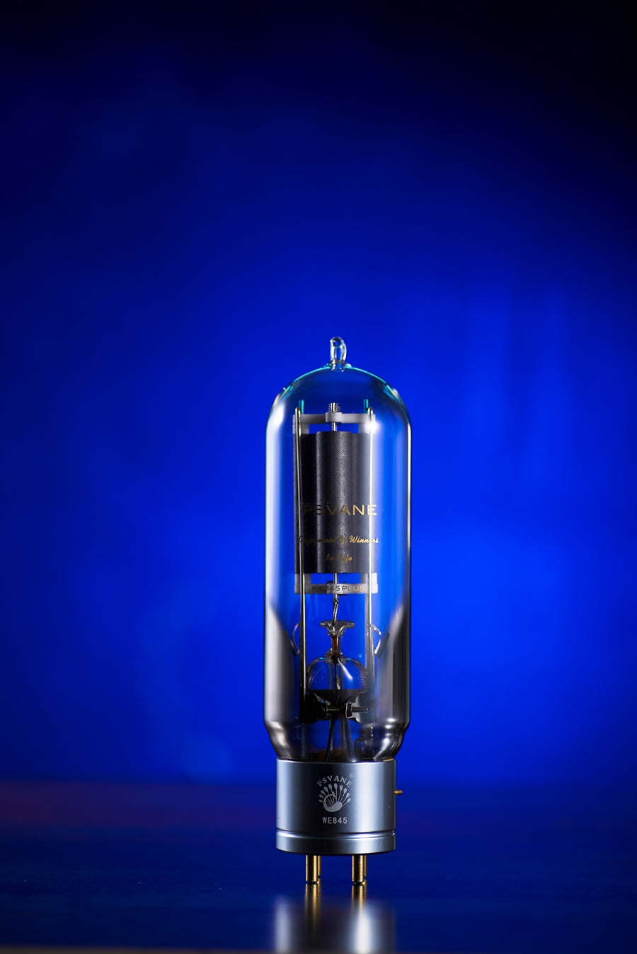 PSVANE WE Series WE845Plus Vacuum Tube Amplifier Tubes Matched Pair (2 PACK)