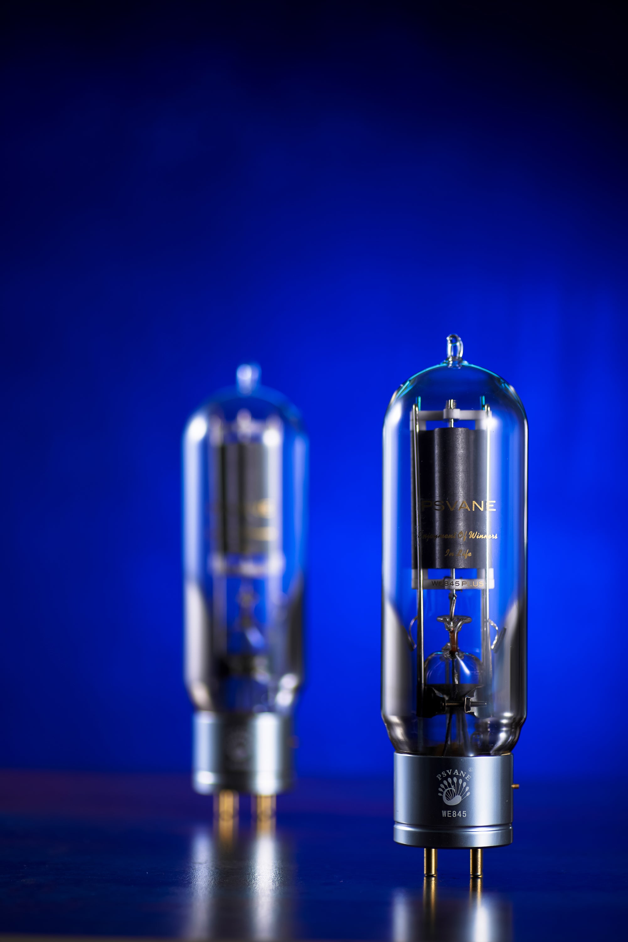 PSVANE WE Series WE845Plus Vacuum Tube Amplifier Tubes Matched Pair (2 PACK)