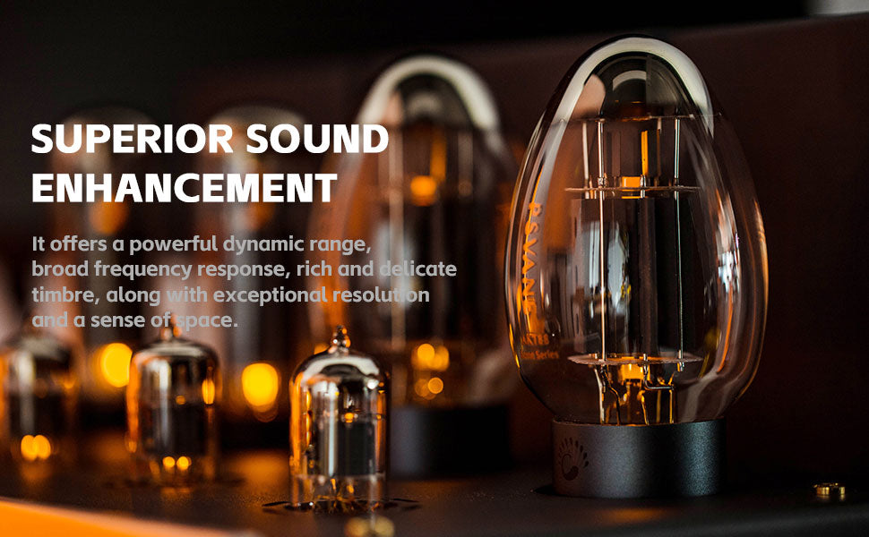 PSVANE ACME KT88 Vacuum Tube